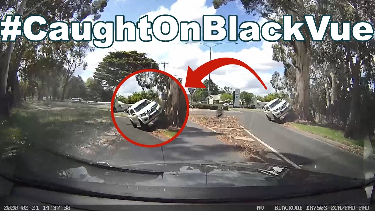 4WD-Running-up-a-TREE…-CaughtOnBlackVue
