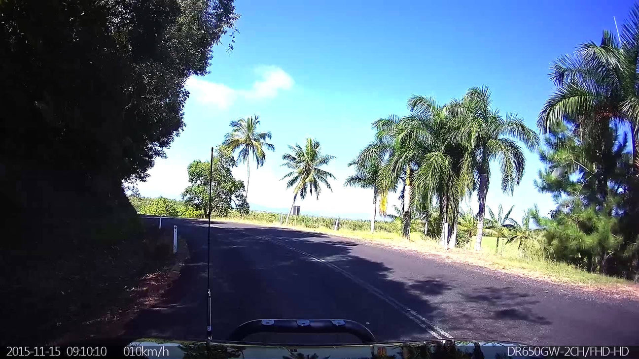 Cassowaries-charging-at-each-other.-blackvue-dash-cam-featuring-david-attenborough