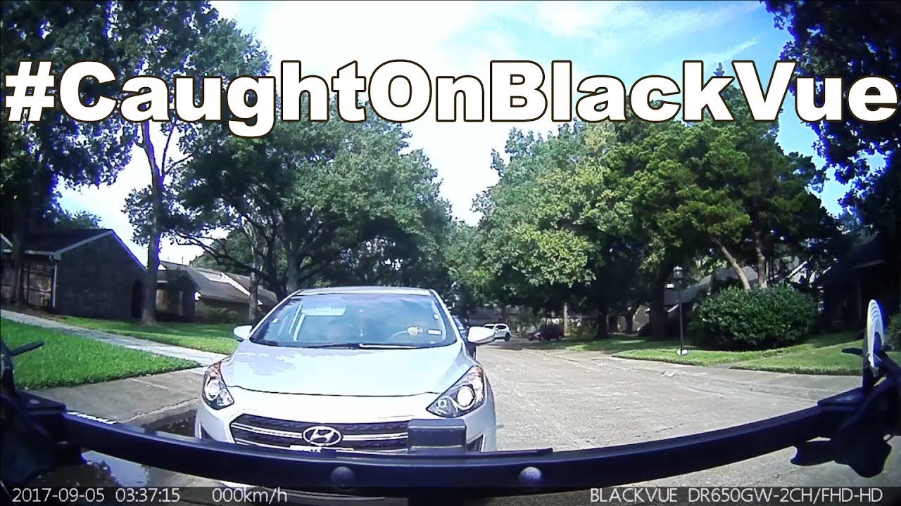 Driver-Purposefully-Tries-To-Get-Hit-CaughtOnBlackVue