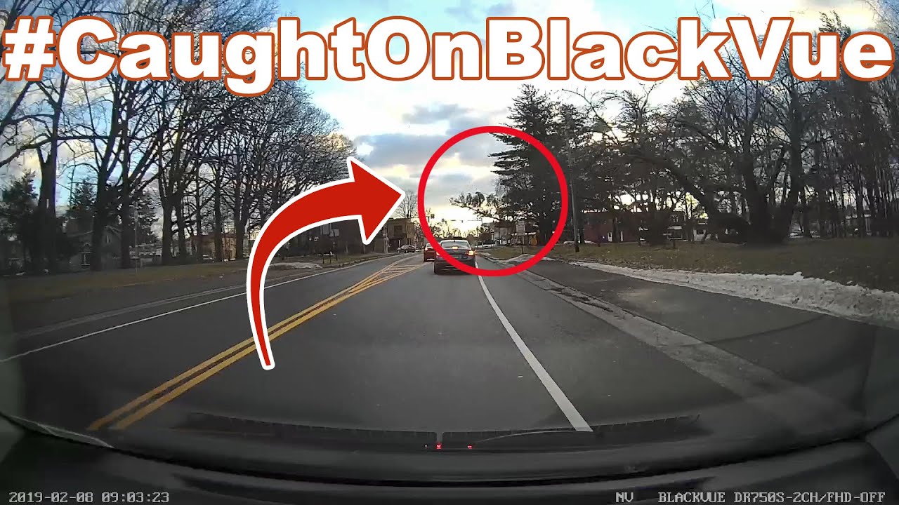 Tree-Snaps-And-Falls-On-The-Road-CaughtOnBlackVue