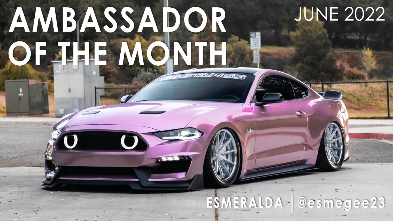 Ambassador of the Month – June 2022